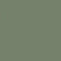 British Standards BS 381C Aircraft Grey Green 283 Aerosol Spray Paint
