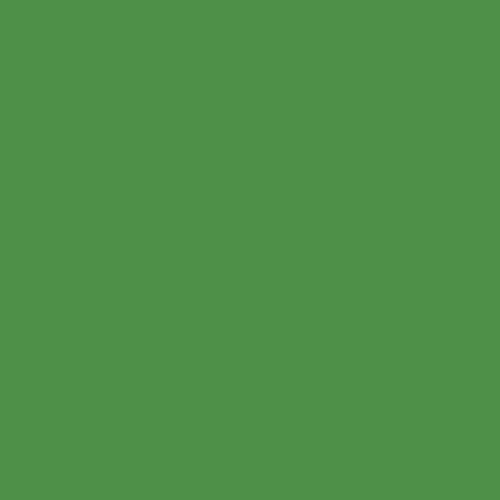 RAL 6017 May Green Aerosol Spray Paint