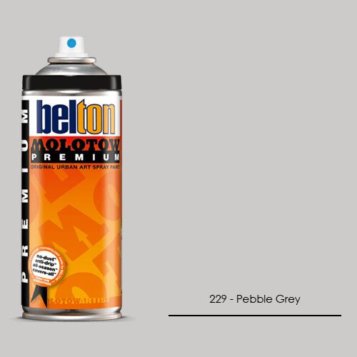 229 - Pebble Grey aerosol spray paint